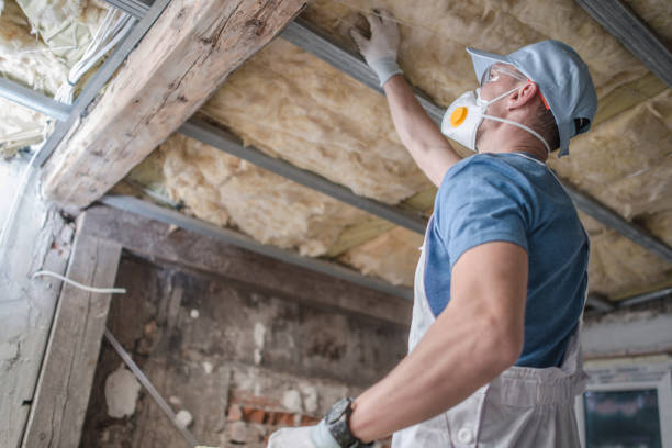 Best Commercial Insulation in Hollister, MO